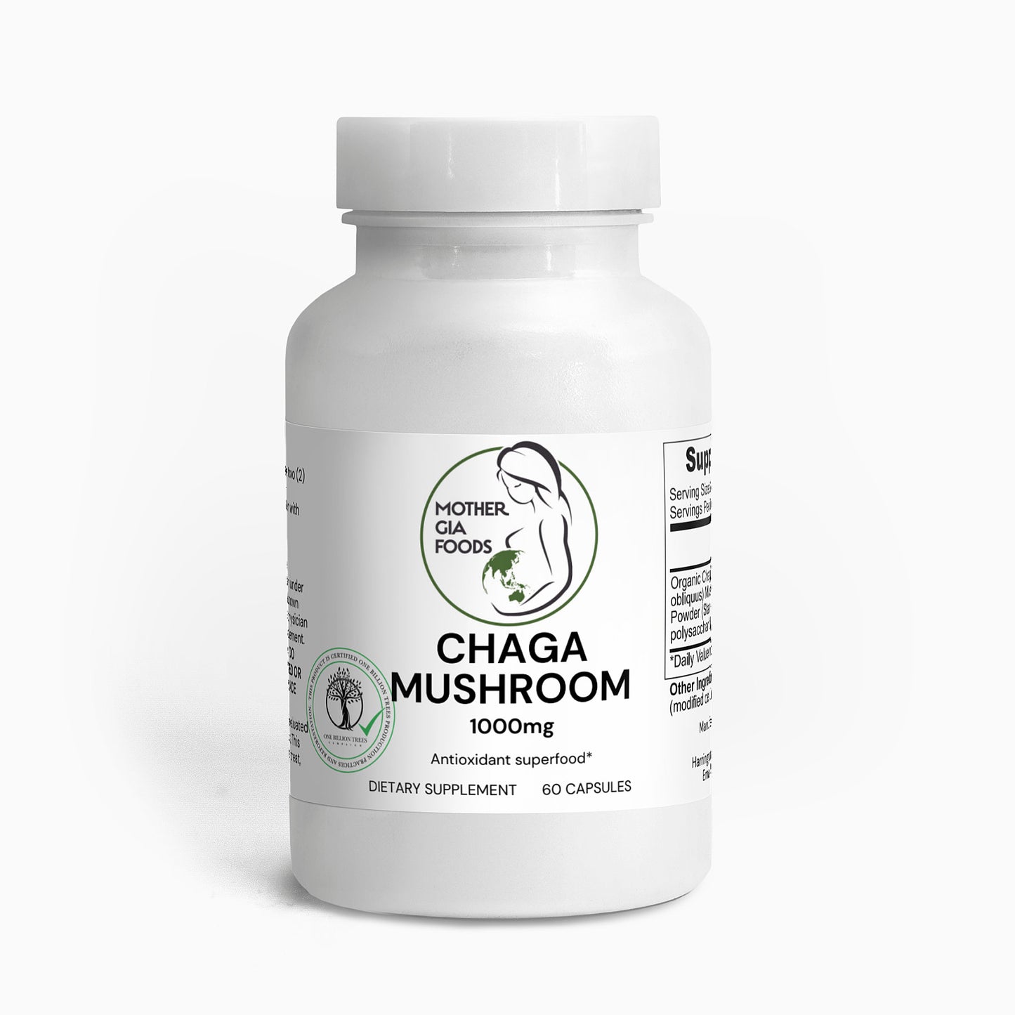 Chaga Mushroom